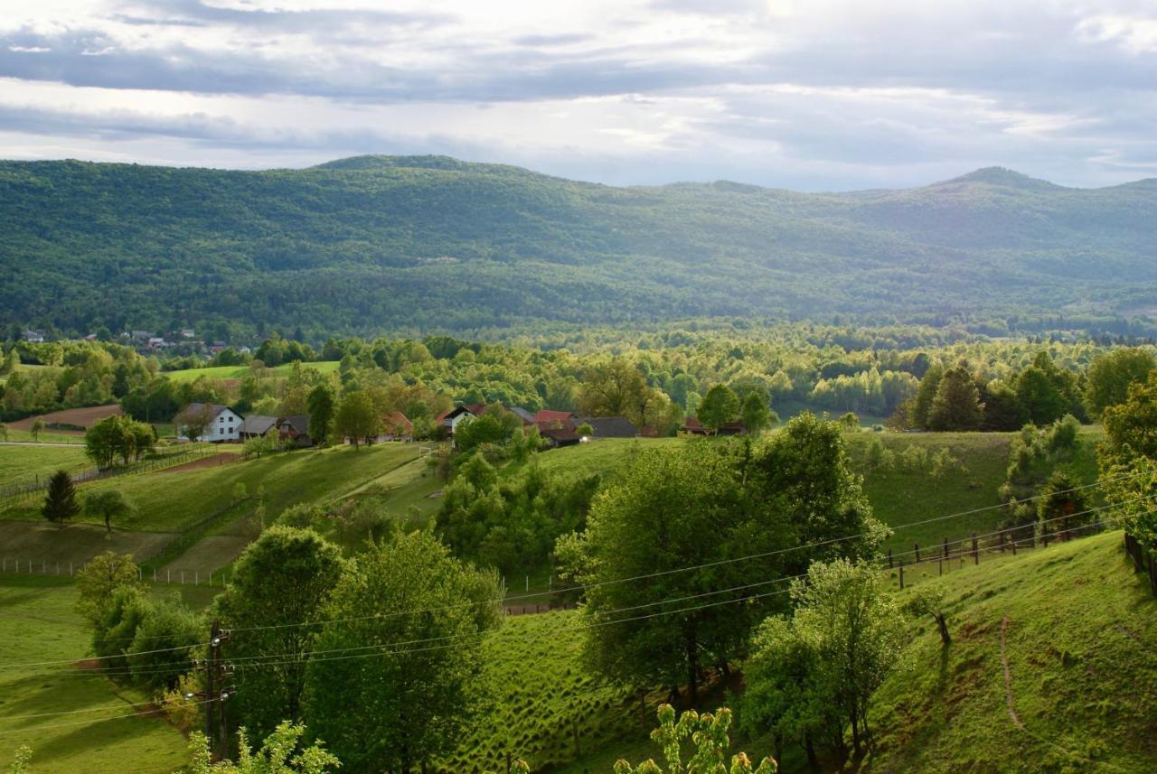 Frankovic Bed&Breakfast Vinica Zewnętrze zdjęcie
